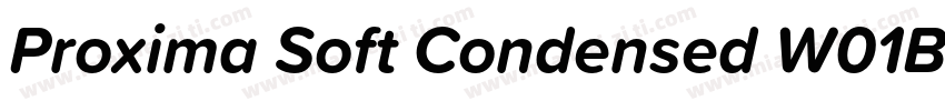 Proxima Soft Condensed W01BlkIt字体转换